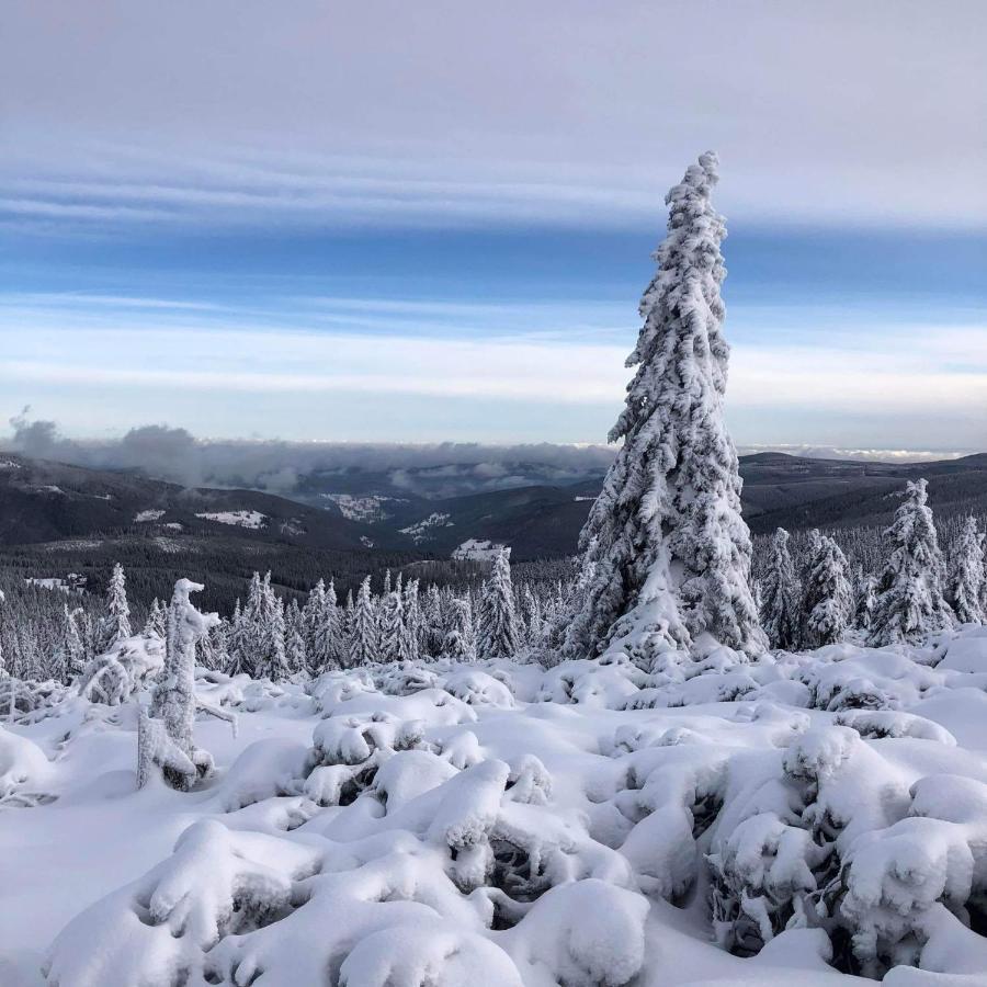 Apartman Liska V Peci - Apartmanovy Dum Horalka, Pec Pod Snezkou Exteriör bild