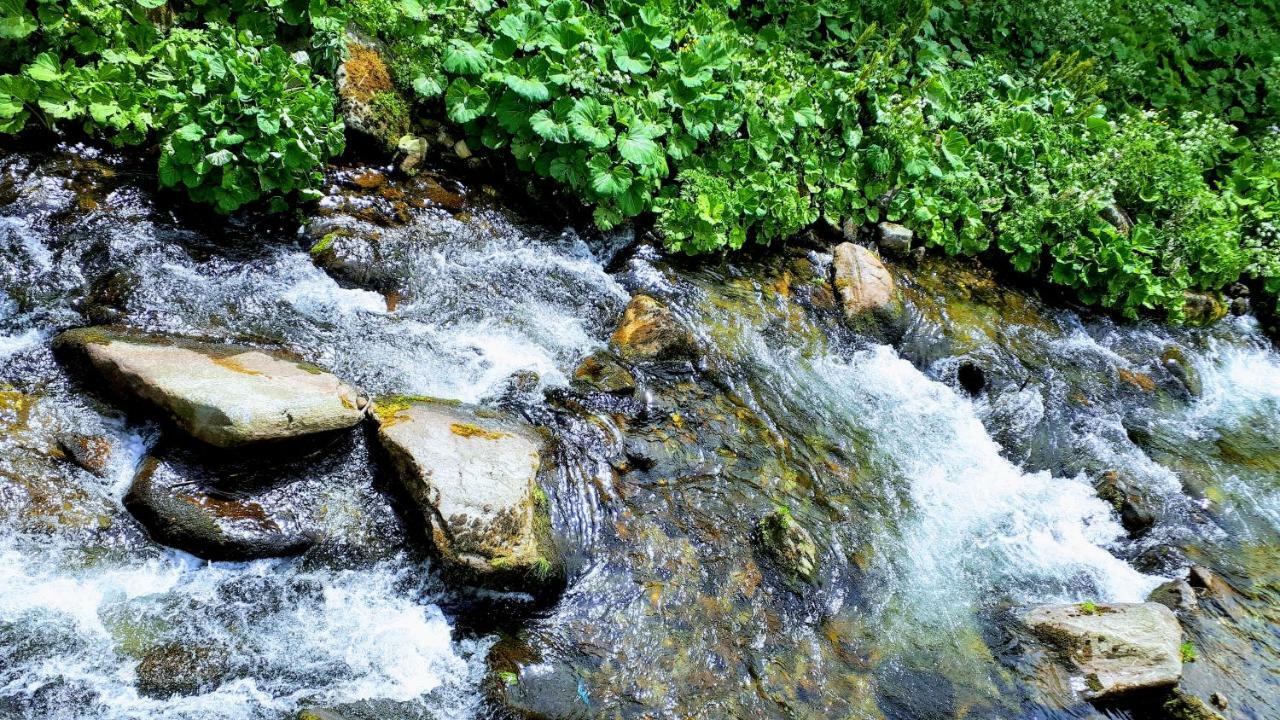 Apartman Liska V Peci - Apartmanovy Dum Horalka, Pec Pod Snezkou Exteriör bild
